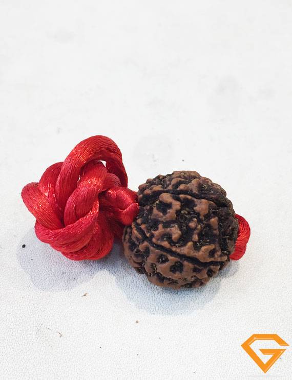 5 Mukhi Natural Certified Rudraksha Pendant Size- 23 mm
